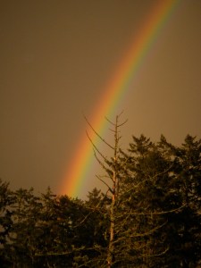 rainbow