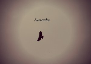 surrender