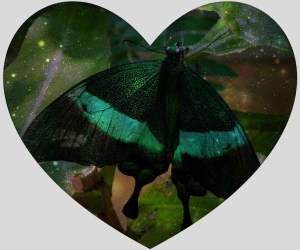 butterflyinheart