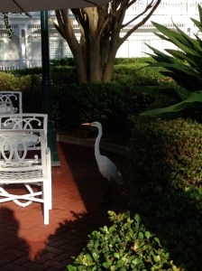 Our favorite cast member