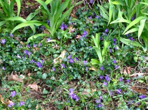 The weeds of unwanted energy