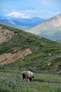 Photo by Lara Wilson