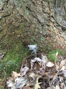 Blessings From Above Point To Those Below