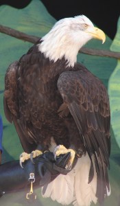 True power is also a gift of the heart.