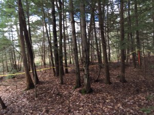 Where I was stopped.