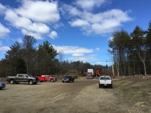 There once was a forest.