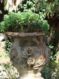 An Italian urn with succulents
