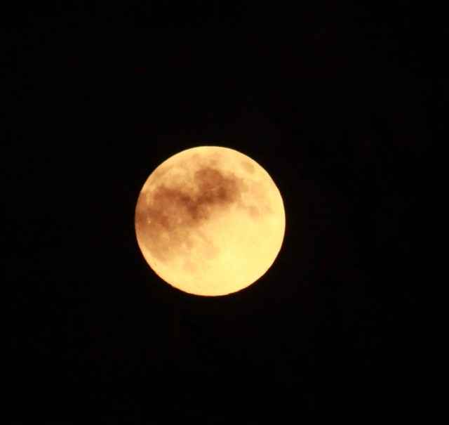 Shadows and light revealed on a full moon