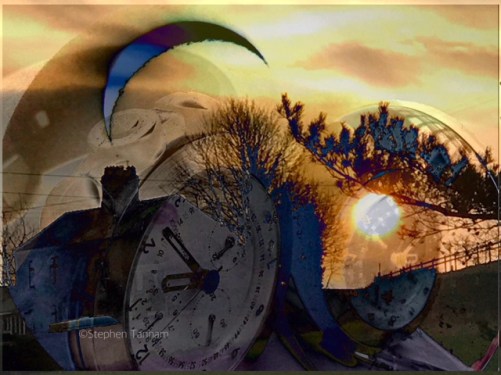 Reflections Free Will