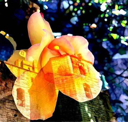 Castles 25Jul Rose and Warkworthv1