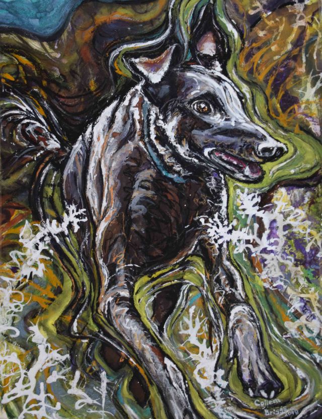 Racing For Joy lo res