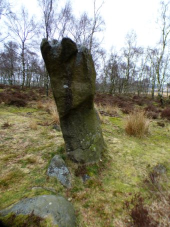 derbyshire-lambs-hawk-kestrel-crone-stone-tideswell-lillingstone-025