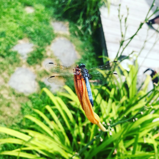 9831433C-1D50-4AF0-AF44-DCB6B129CBC4