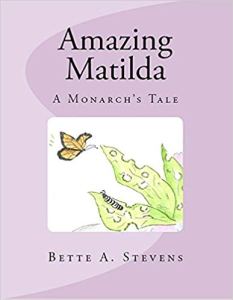 41QwU8MpiyL._SX385_BO1,204,203,200_