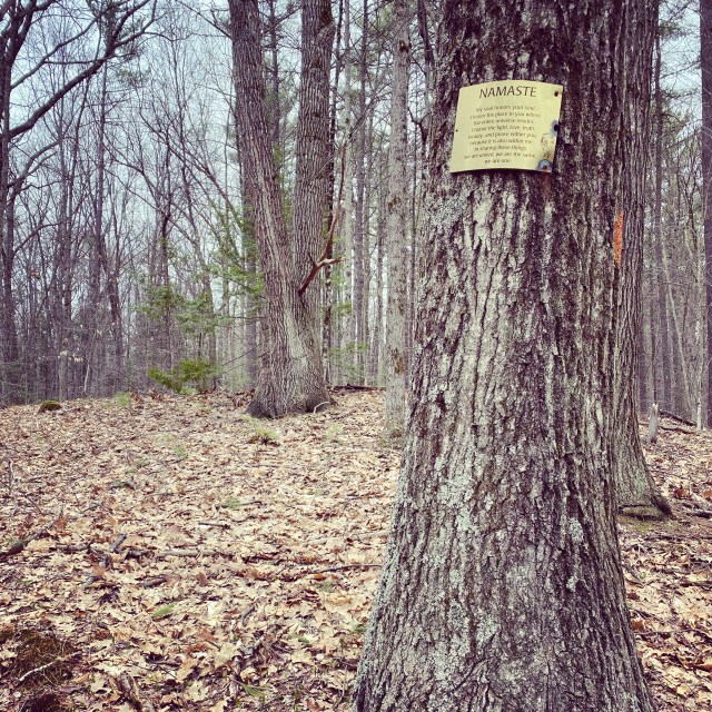 E5B37CE3-D8AA-41ED-8121-450FF72B2E44