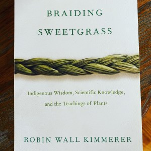 1AE45083-B8FC-4390-A27F-2CFD75444BF8