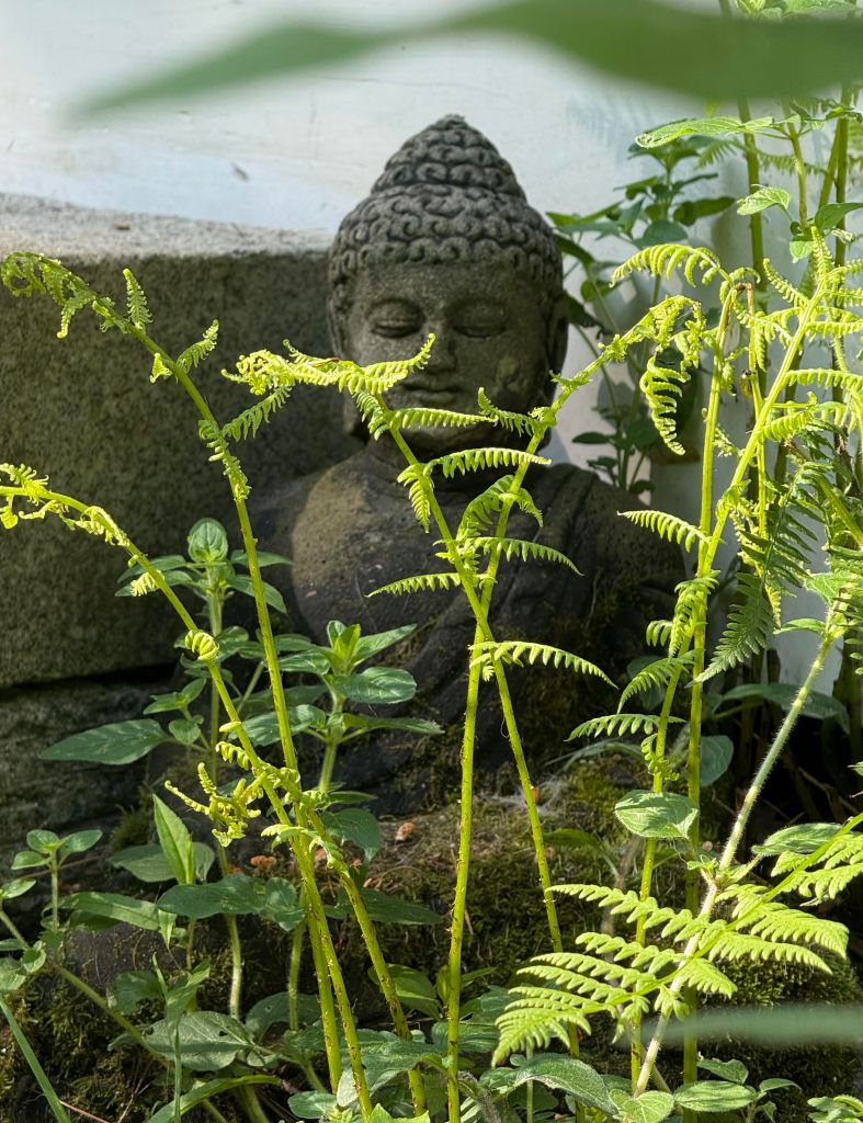 Even amid the most chaotic times, nature offers us peace and balance